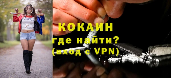 соль ск Дмитриев