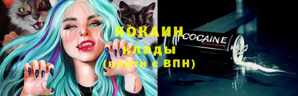 соль ск Дмитриев