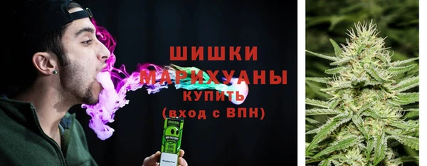 соль ск Дмитриев