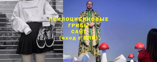 дмт Гусь-Хрустальный