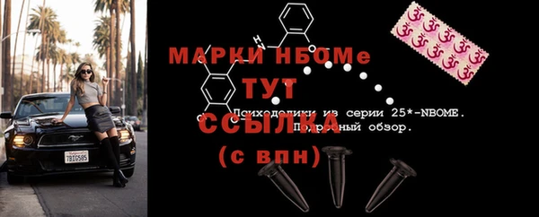 соль ск Дмитриев