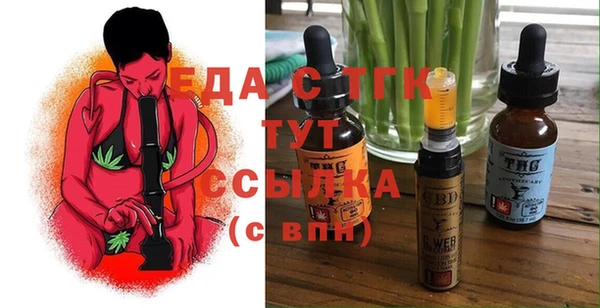 соль ск Дмитриев