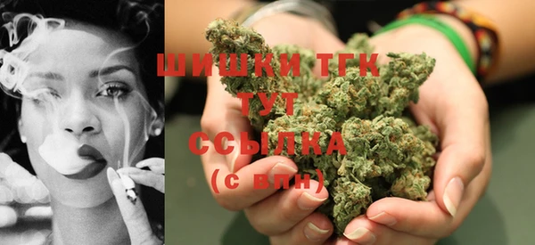 дмт Гусь-Хрустальный