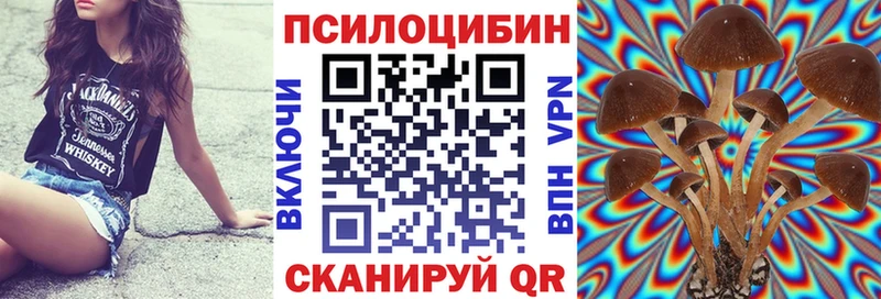 Купить  Кологрив  Псилоцибиновые грибы прущие грибы 