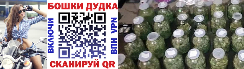 Канабис VHQ  Купить где  Кологрив 